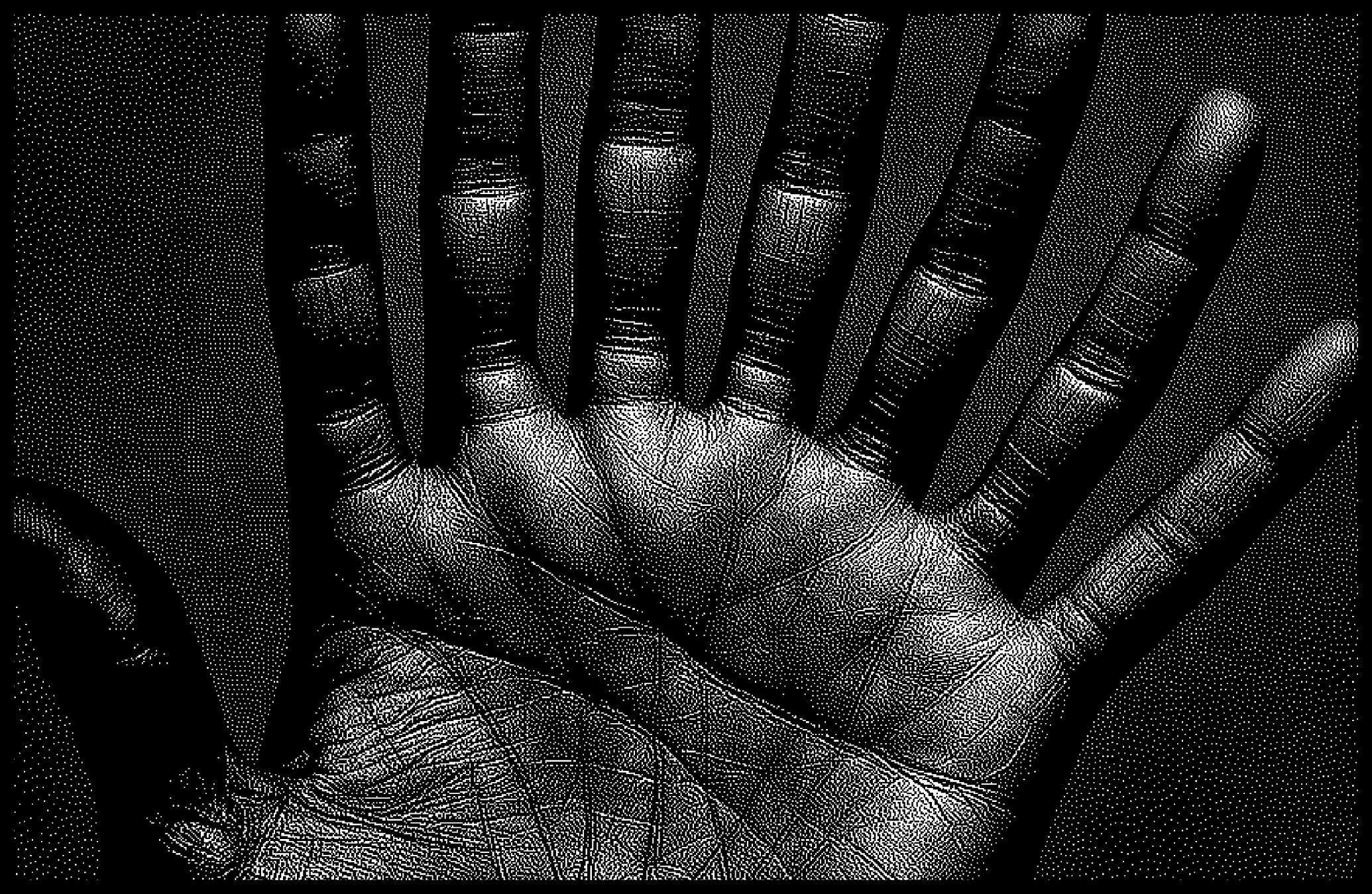 The Wines of Christmas Future